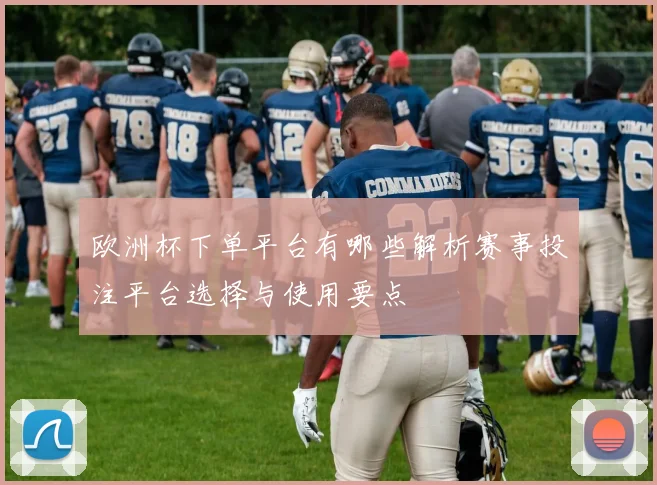 欧洲杯下单平台有哪些解析赛事投注平台选择与使用要点