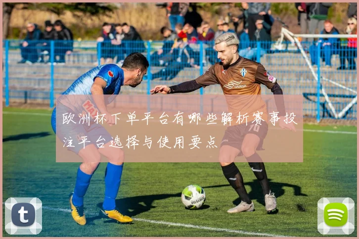 欧洲杯下单平台有哪些解析赛事投注平台选择与使用要点