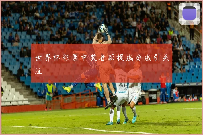 世界杯彩票中奖者获提成分成引关注