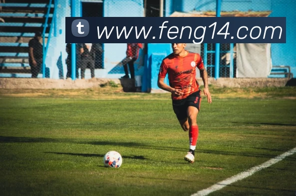 完美体育 - 官方网站发展历程